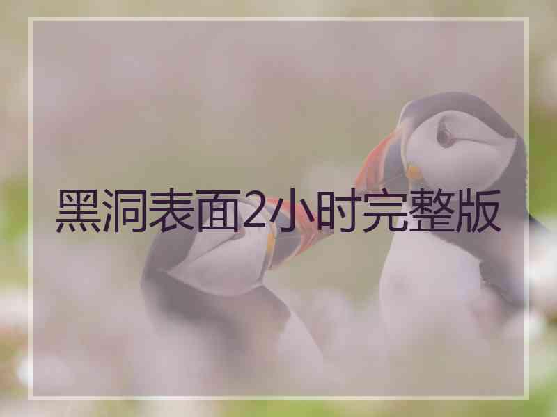 黑洞表面2小时完整版