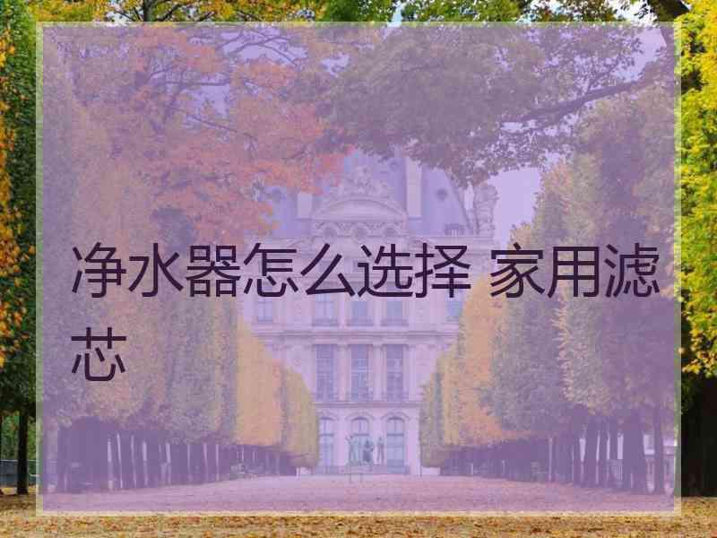 净水器怎么选择 家用滤芯