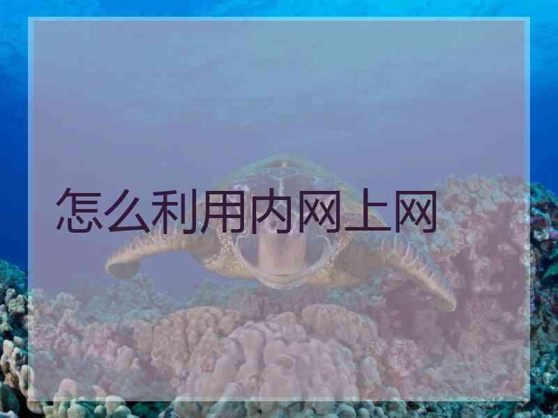 怎么利用内网上网