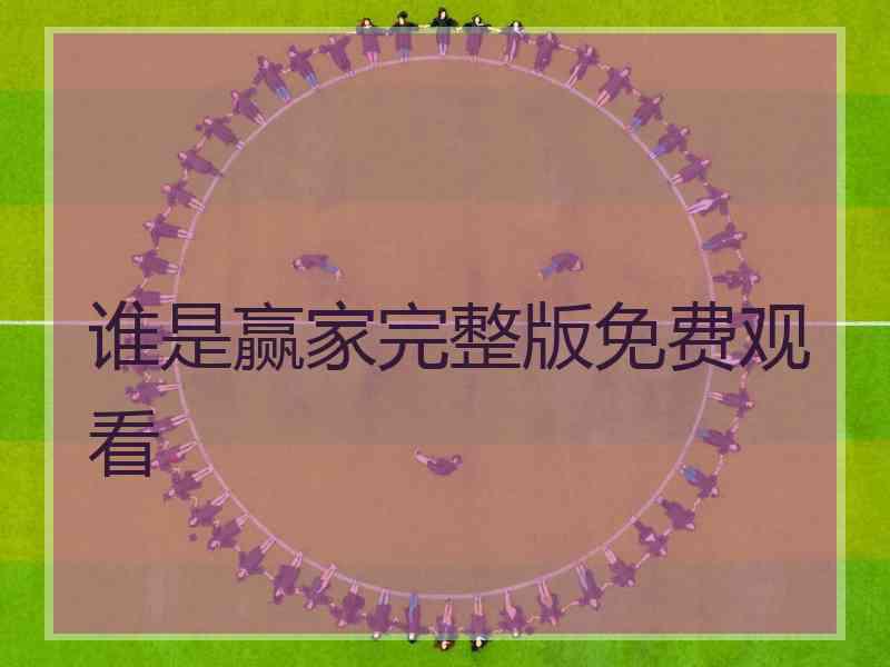 谁是赢家完整版免费观看