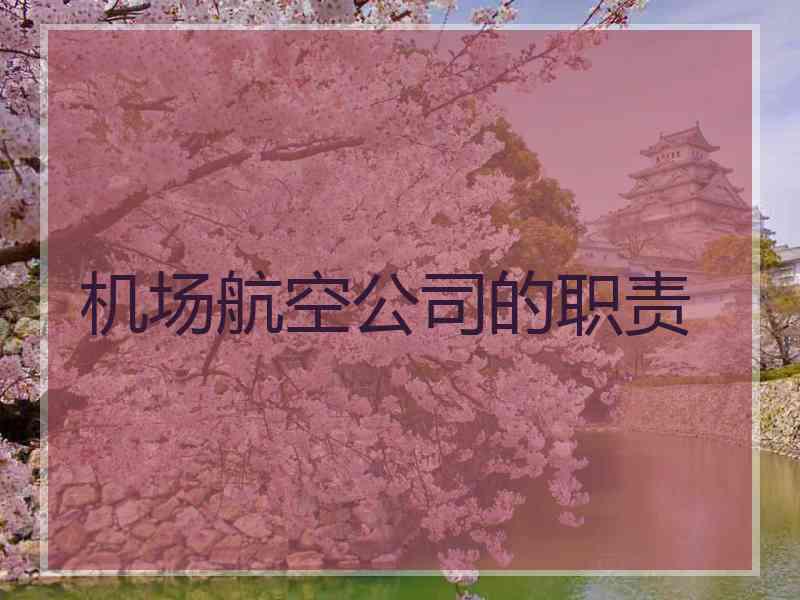 机场航空公司的职责