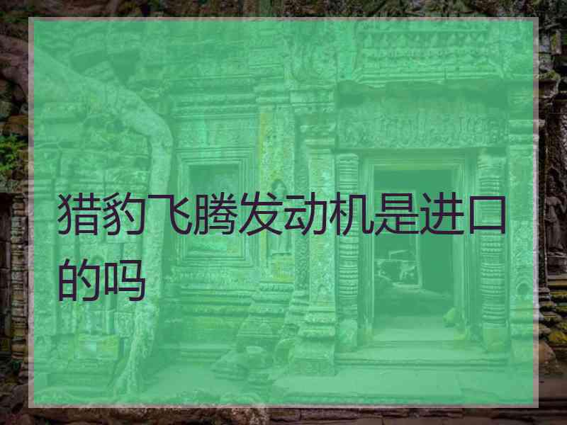 猎豹飞腾发动机是进口的吗