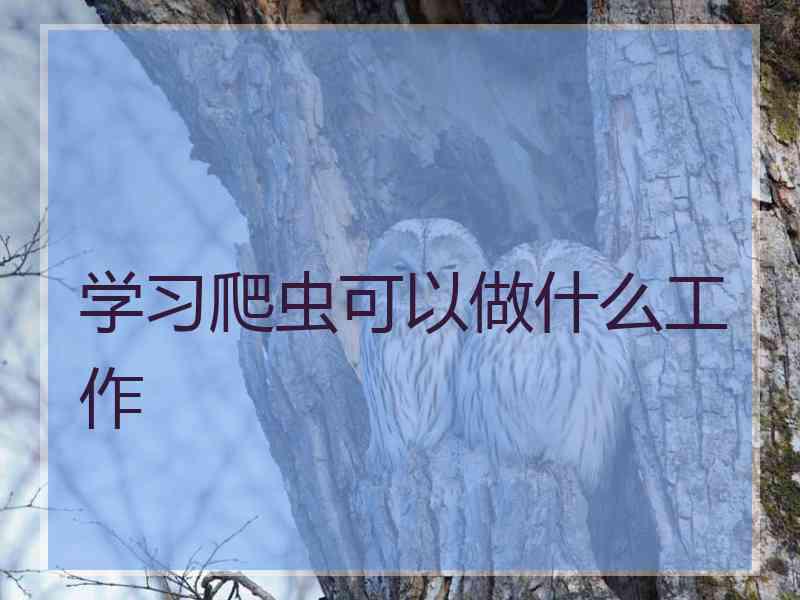 学习爬虫可以做什么工作