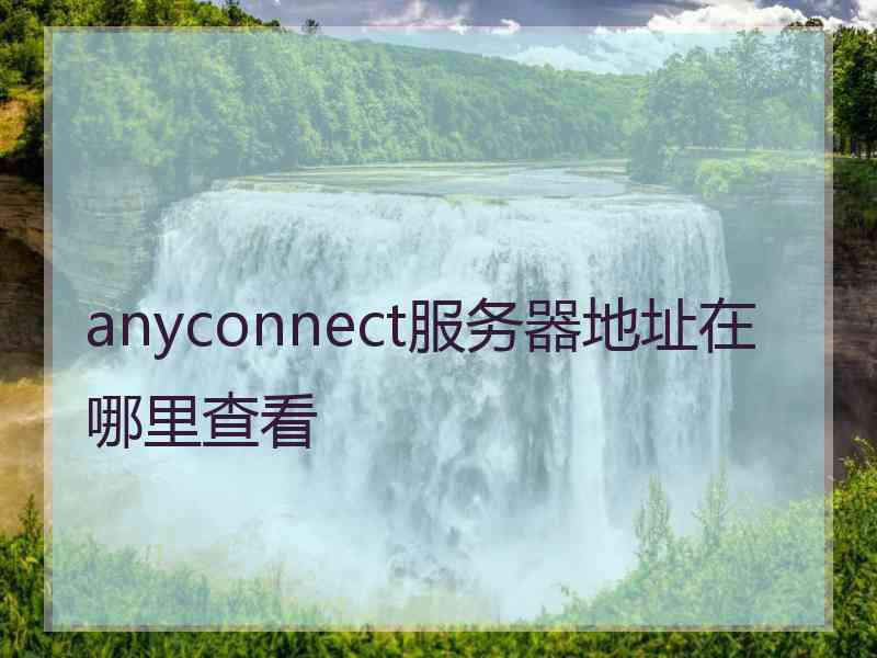 anyconnect服务器地址在哪里查看