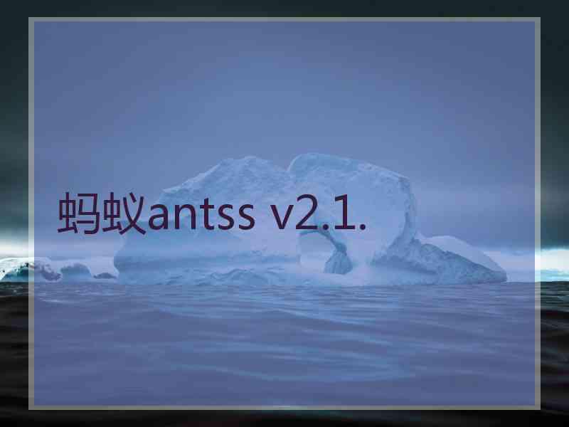 蚂蚁antss v2.1.