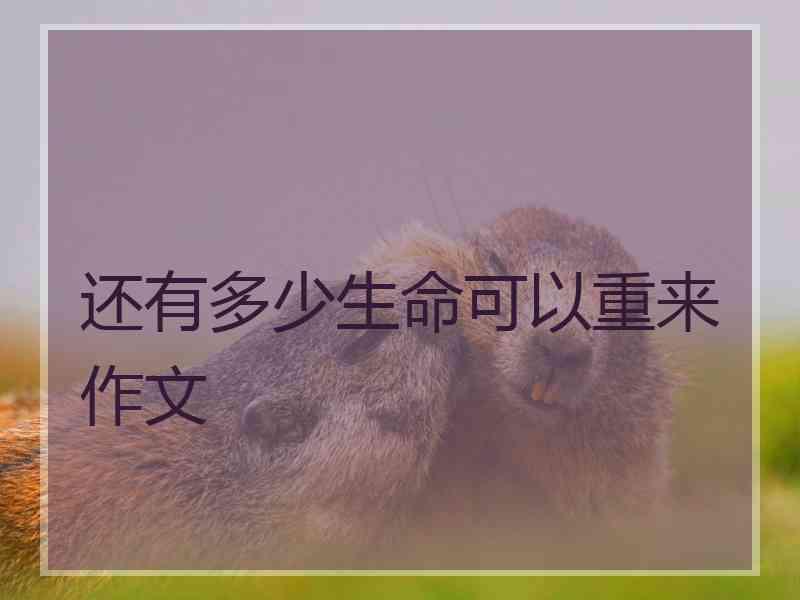还有多少生命可以重来作文