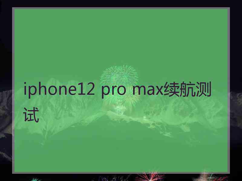 iphone12 pro max续航测试