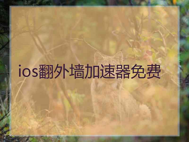 ios翻外墙加速器免费