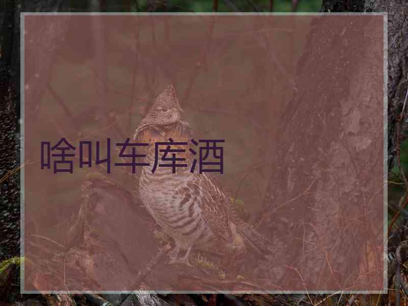 啥叫车库酒