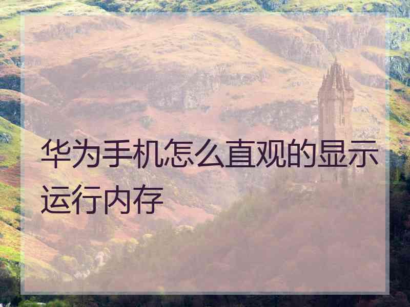 华为手机怎么直观的显示运行内存