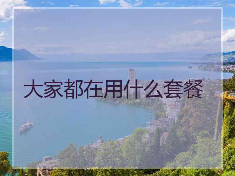 大家都在用什么套餐