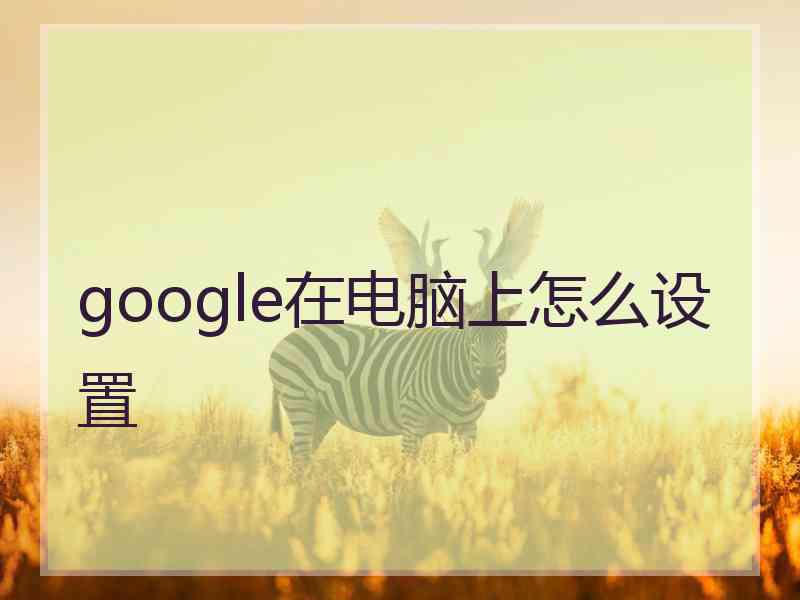 google在电脑上怎么设置