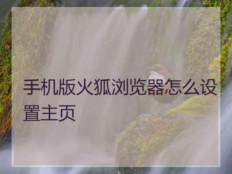 手机版火狐浏览器怎么设置主页