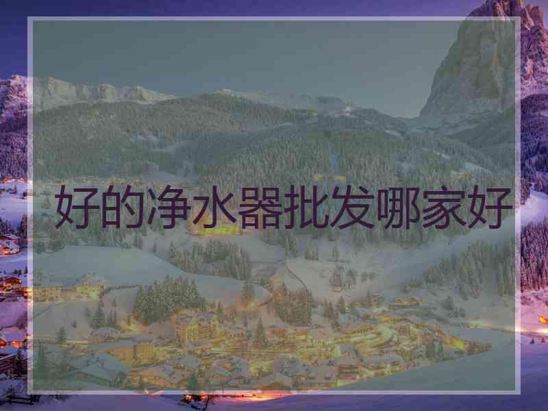 好的净水器批发哪家好