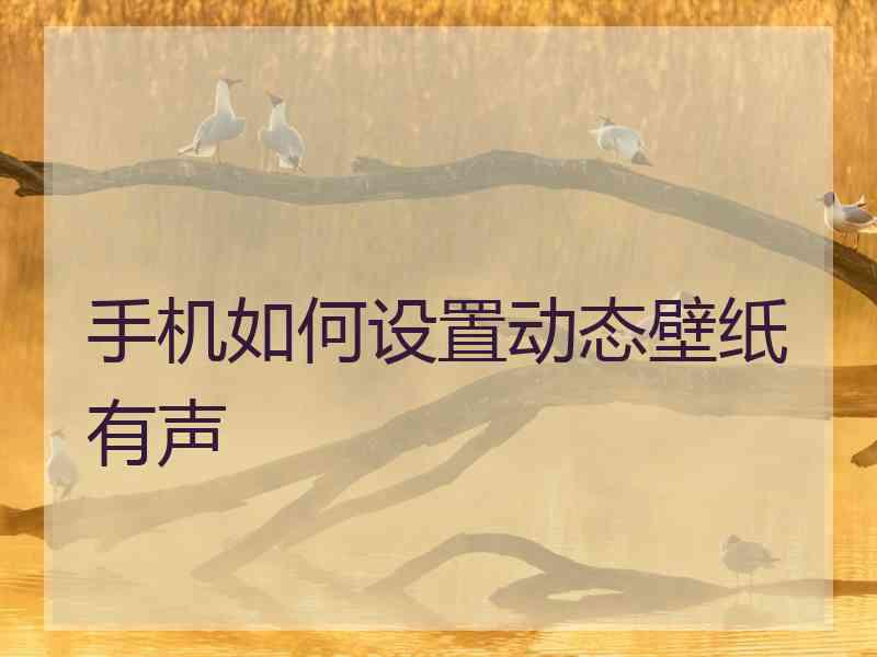 手机如何设置动态壁纸有声