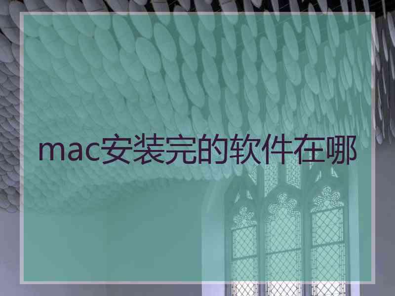 mac安装完的软件在哪