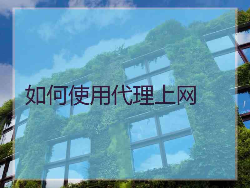如何使用代理上网