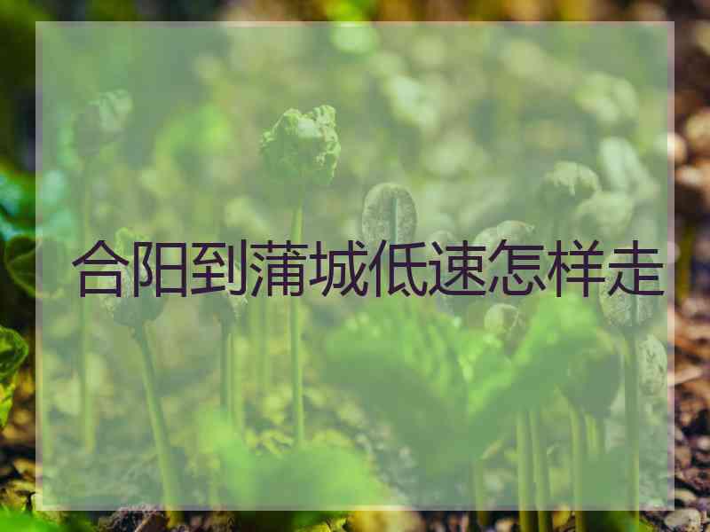 合阳到蒲城低速怎样走