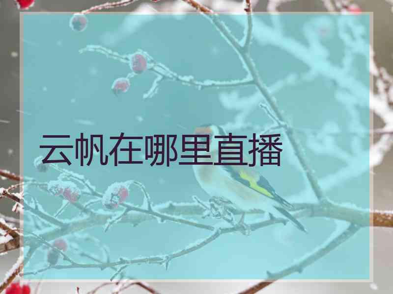 云帆在哪里直播