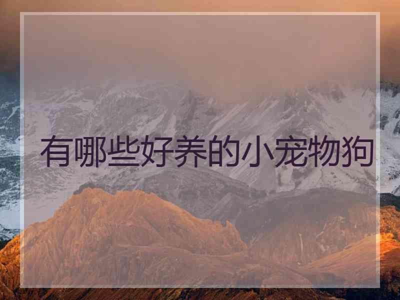 有哪些好养的小宠物狗