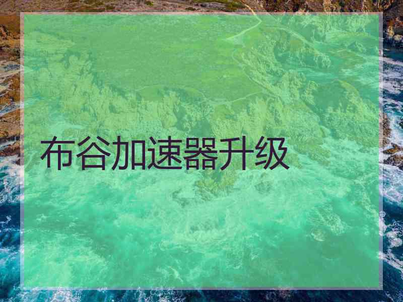 布谷加速器升级