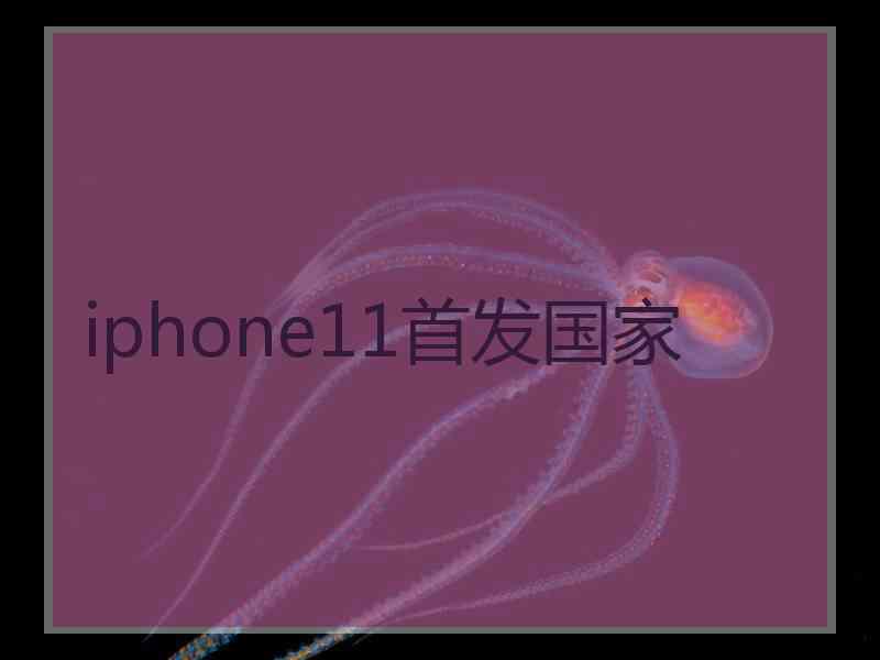 iphone11首发国家