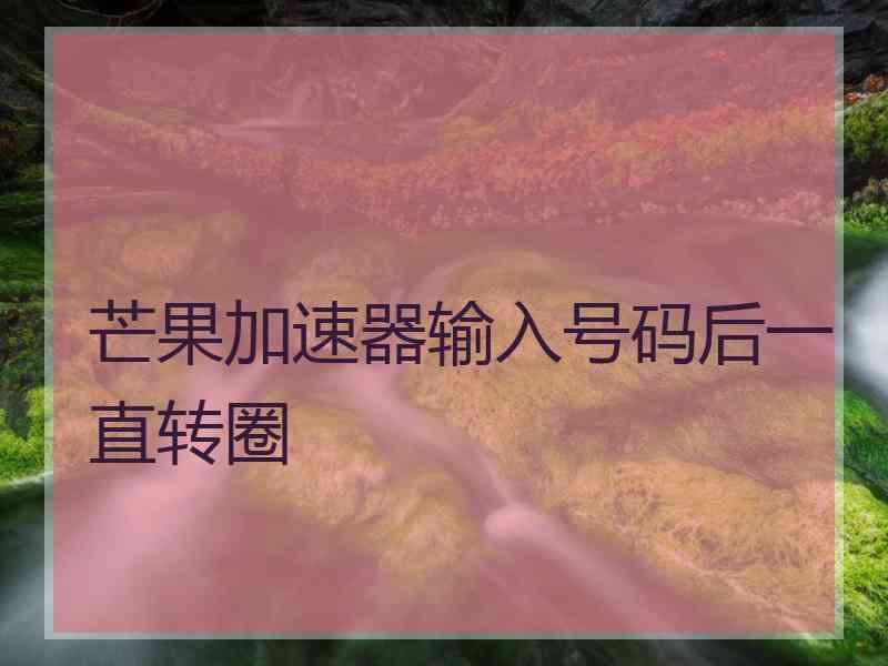 芒果加速器输入号码后一直转圈