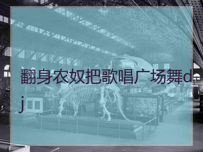 翻身农奴把歌唱广场舞dj