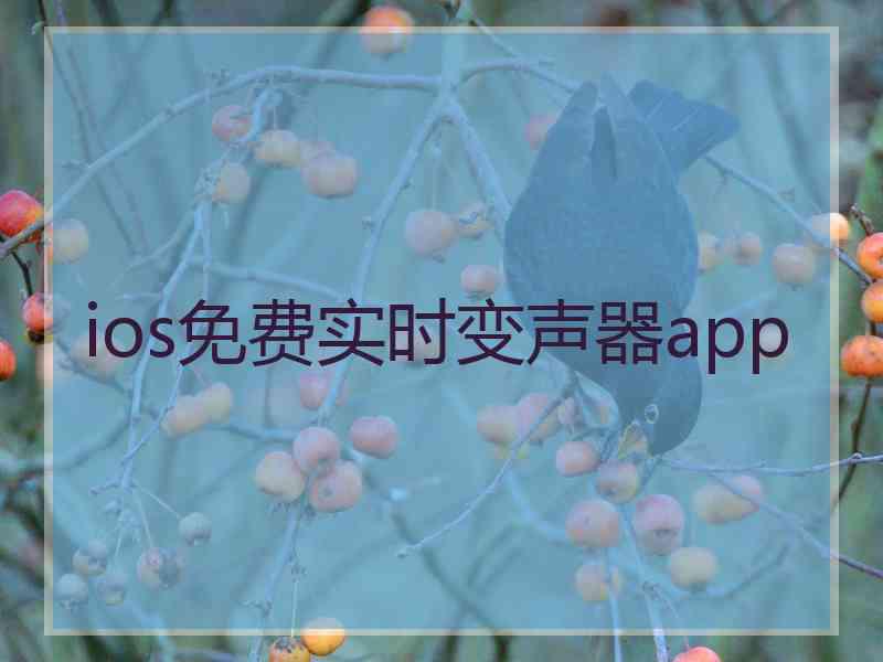 ios免费实时变声器app