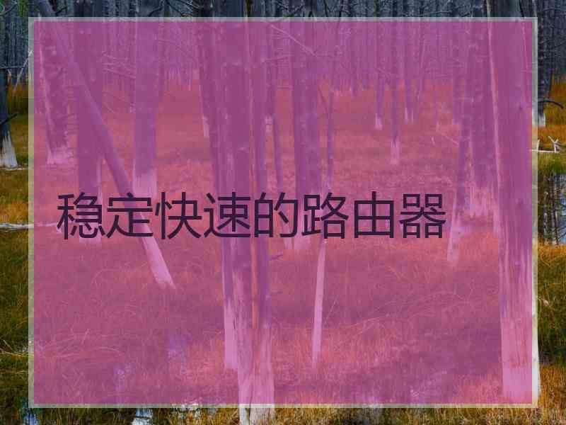 稳定快速的路由器