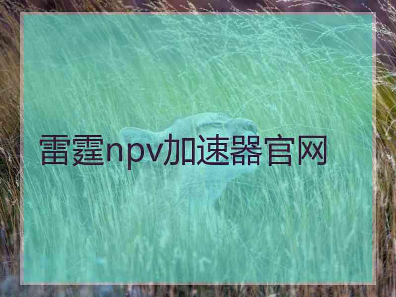 雷霆npv加速器官网