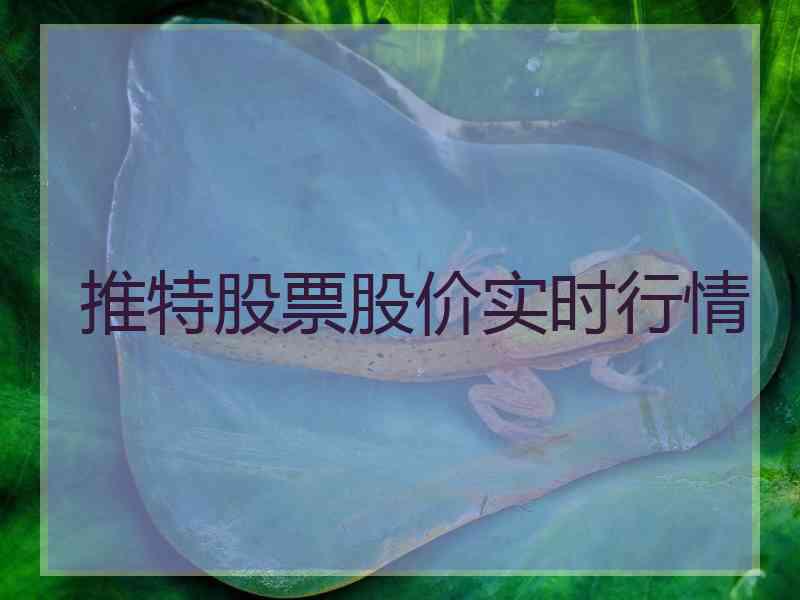 推特股票股价实时行情