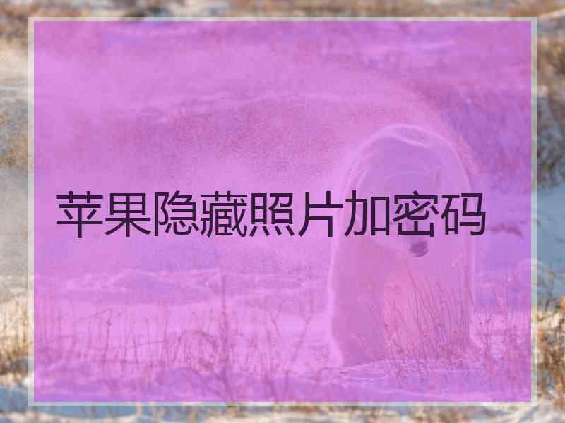 苹果隐藏照片加密码