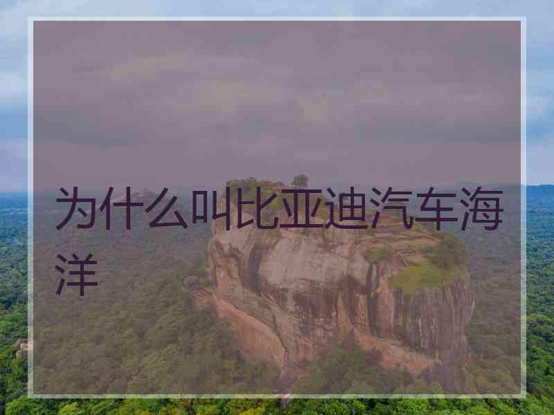 为什么叫比亚迪汽车海洋