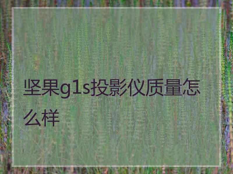 坚果g1s投影仪质量怎么样
