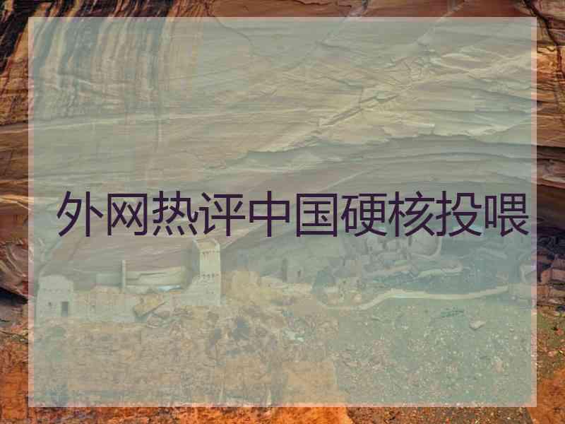 外网热评中国硬核投喂