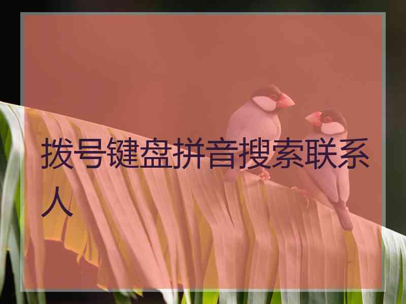 拨号键盘拼音搜索联系人