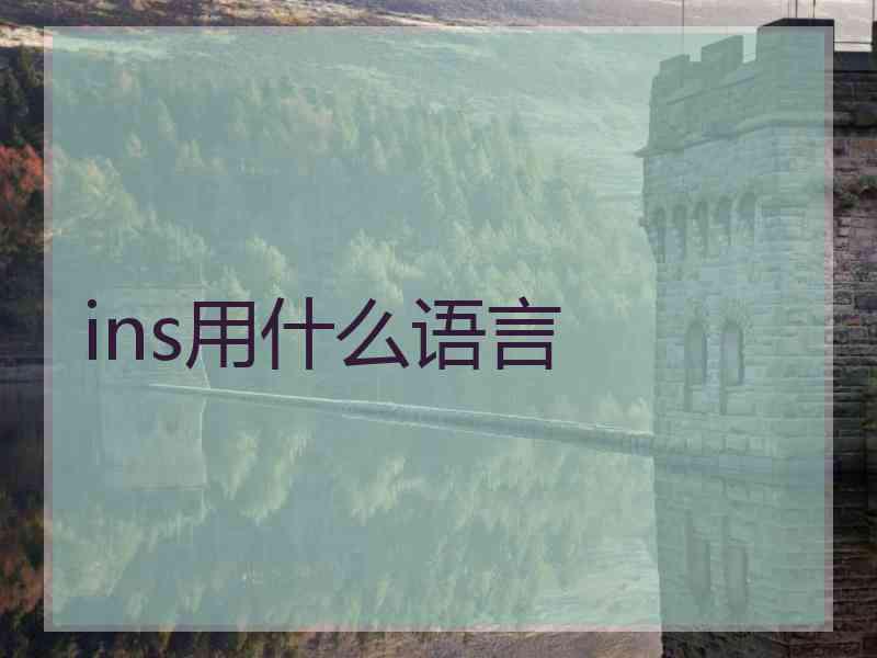 ins用什么语言