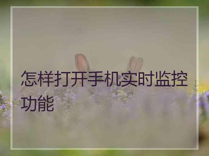 怎样打开手机实时监控功能