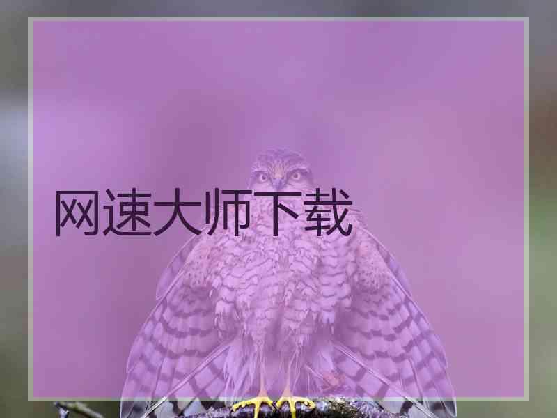 网速大师下载