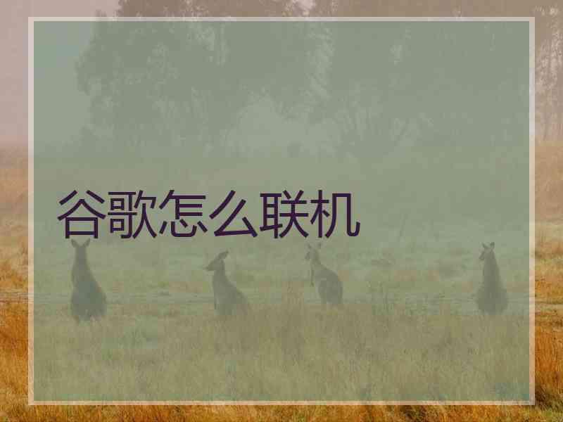 谷歌怎么联机