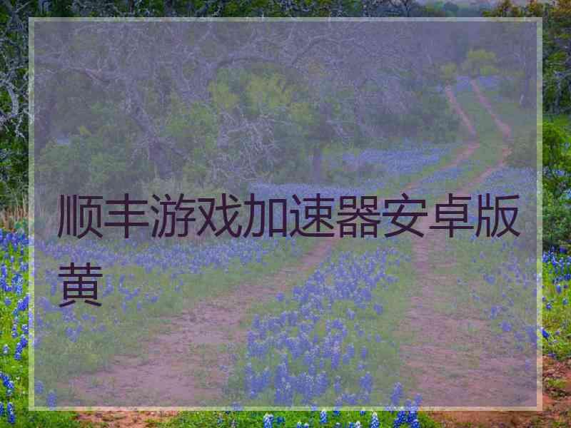 顺丰游戏加速器安卓版黄