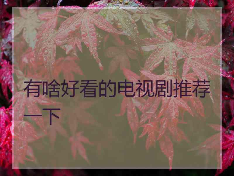 有啥好看的电视剧推荐一下