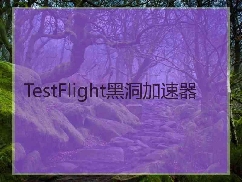 TestFlight黑洞加速器