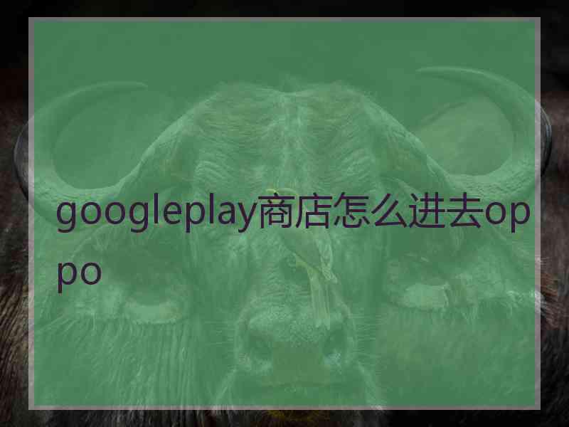 googleplay商店怎么进去oppo