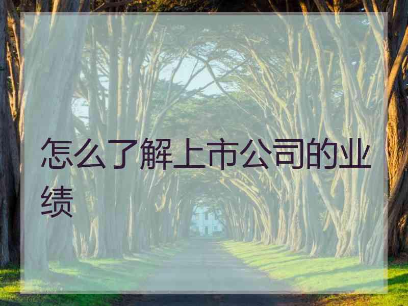 怎么了解上市公司的业绩