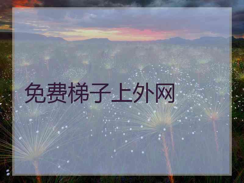 免费梯子上外网