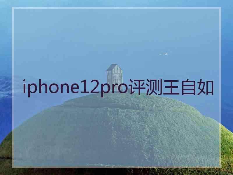 iphone12pro评测王自如