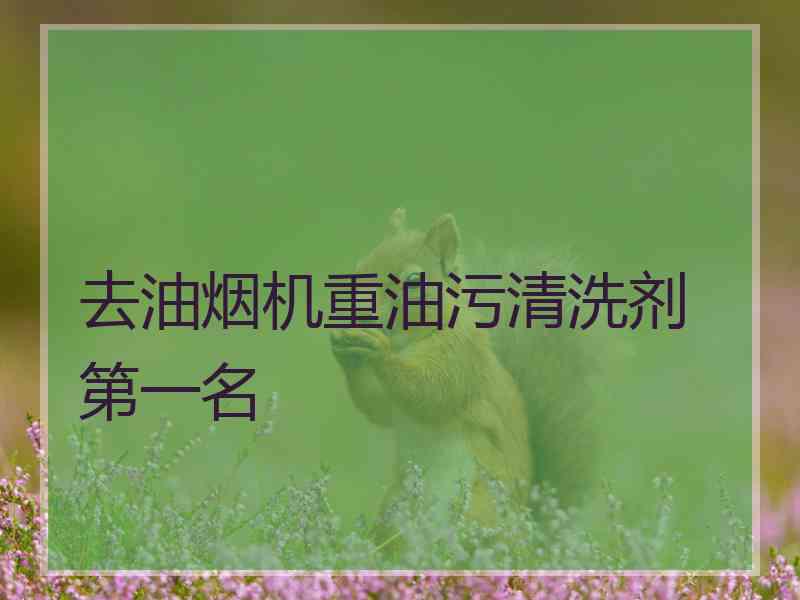 去油烟机重油污清洗剂 第一名