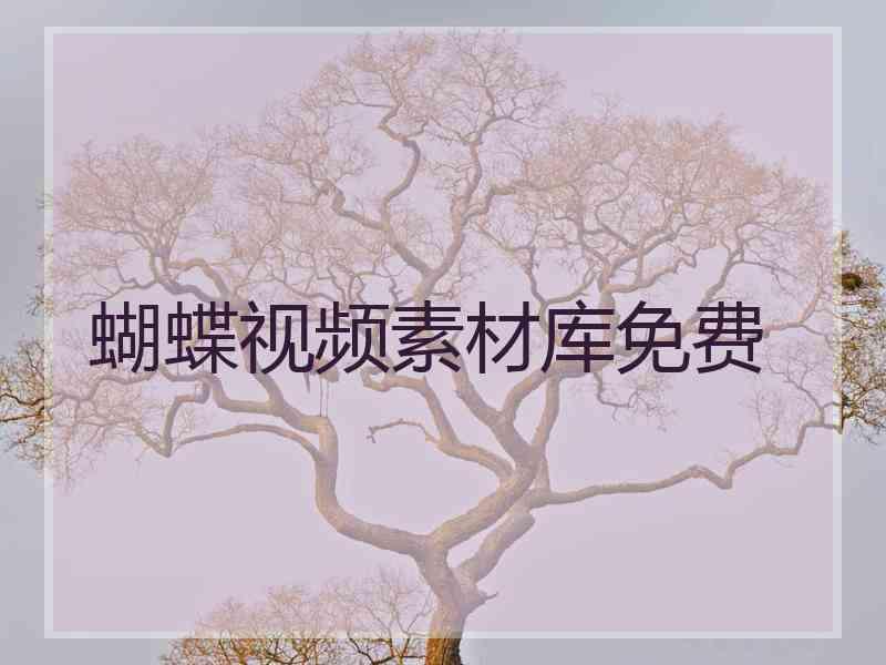 蝴蝶视频素材库免费
